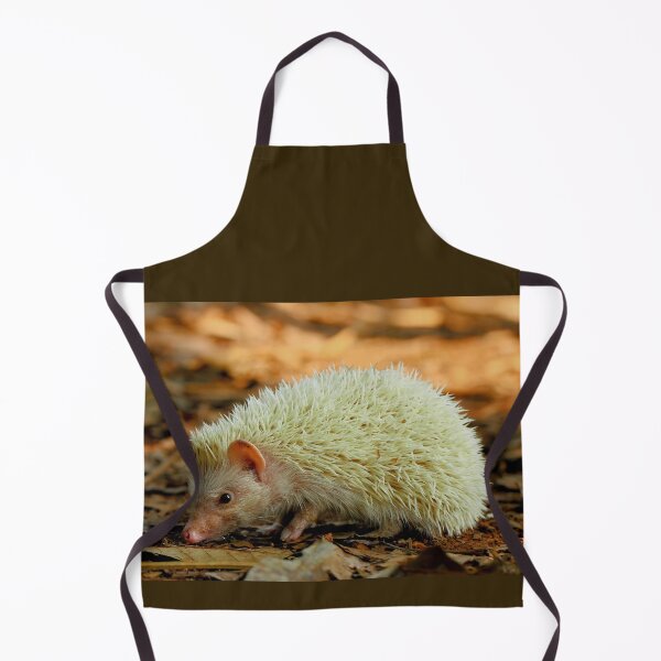 Item preview, Albino Hedgehog designed and sold by neteor.