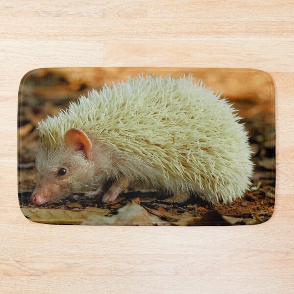 Item preview, Albino Hedgehog designed and sold by neteor.