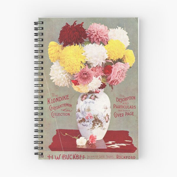 Item preview, Chrysanthemum - H. W. Buckbee seed 1896 designed and sold by killies.