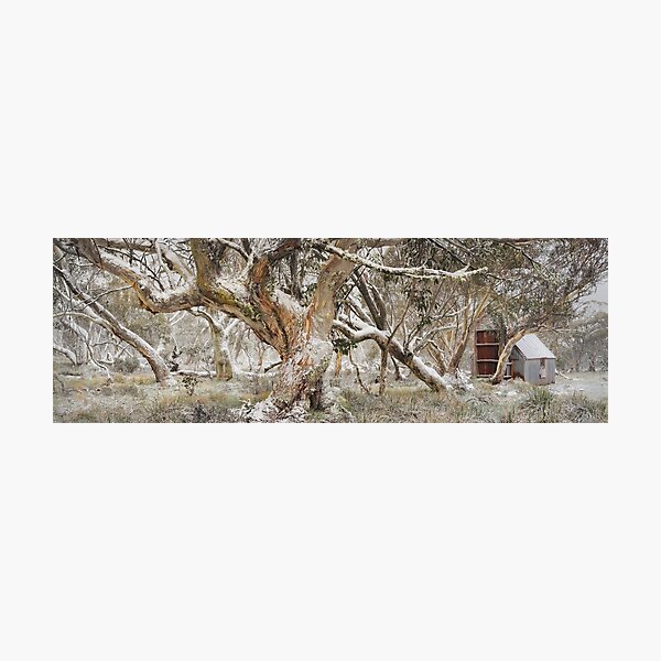 Item preview, Dinner Plain CRB Hut, Mount Hotham, Victoria, Australia designed and sold by Michael Boniwell.