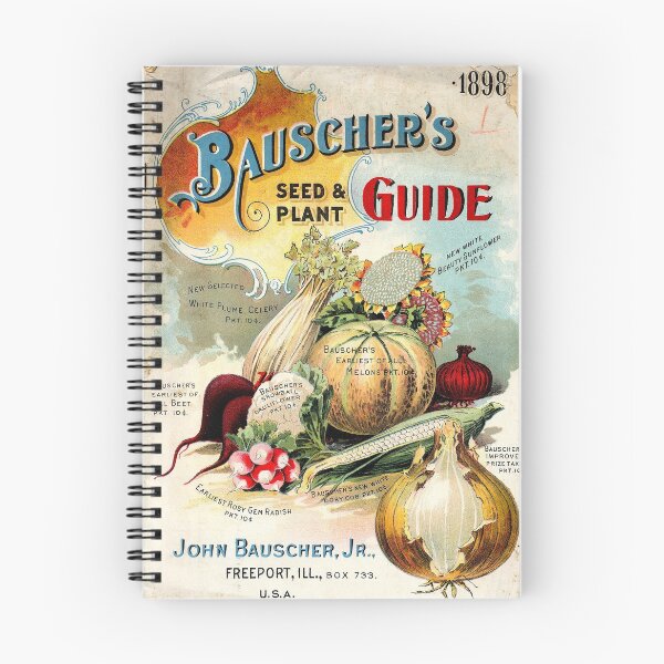 Item preview, Vegetables and sunflowers - Bauscher's  1898 designed and sold by killies.