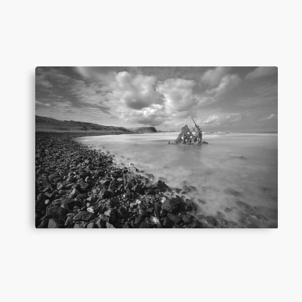 Metal Print