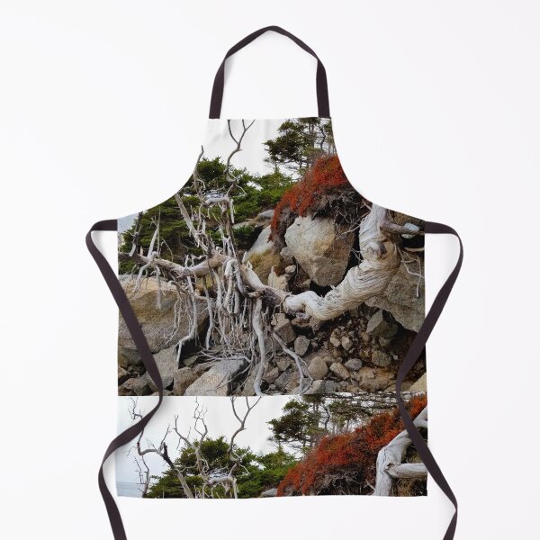 Item preview, On Rocky Shores - Beauty after death designed and sold by Totallyalive.