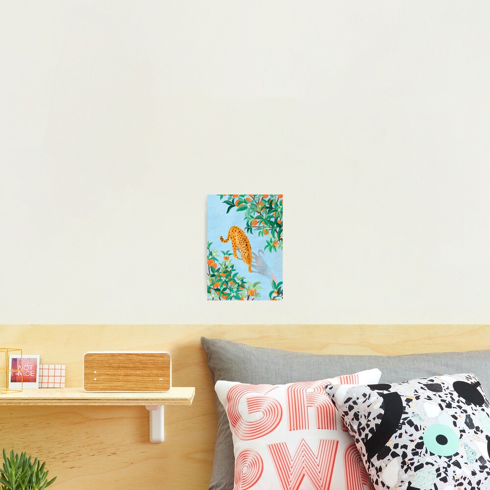 Leopard and Orange Trees Photographic Print