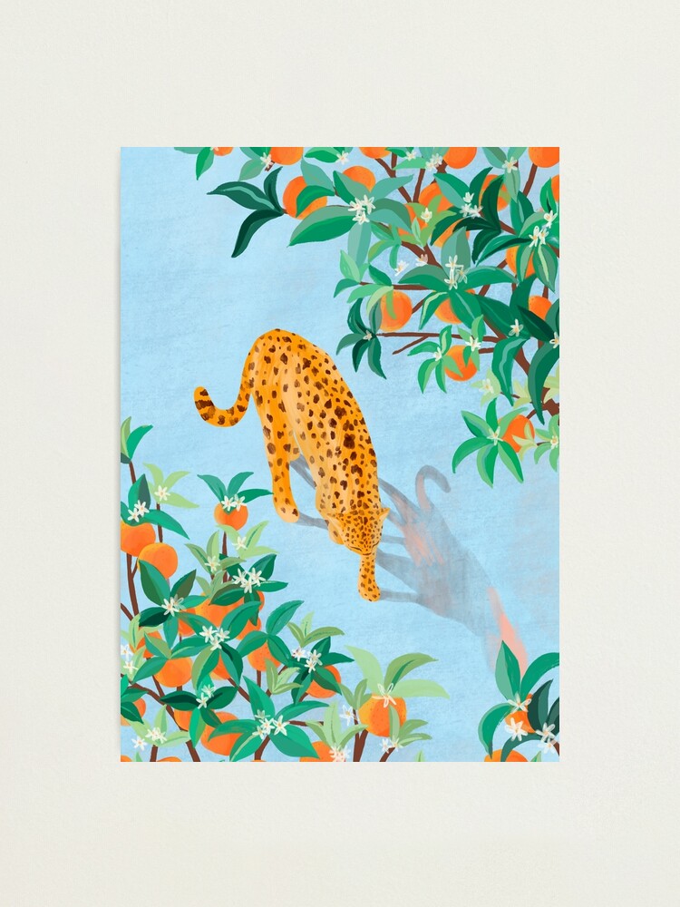 Alternate view of Leopard and Orange Trees Photographic Print