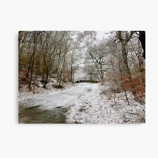 A crisp Lancashire walk. Canvas Print