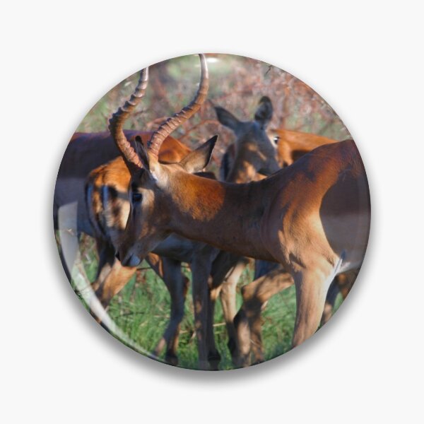 Item preview, Keep Walking... African Impala designed and sold by Totallyalive.