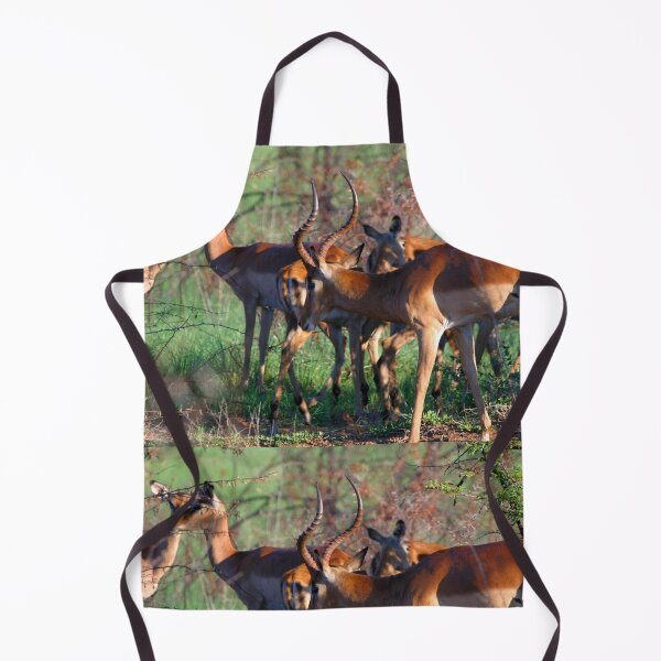 Aperçu de l'œuvre Continuez à marcher ... Impala africaine créée et vendue par Totallyalive.
