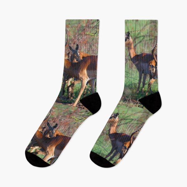 Item preview, Sigue caminando ... Impala africano designed and sold by Totallyalive.