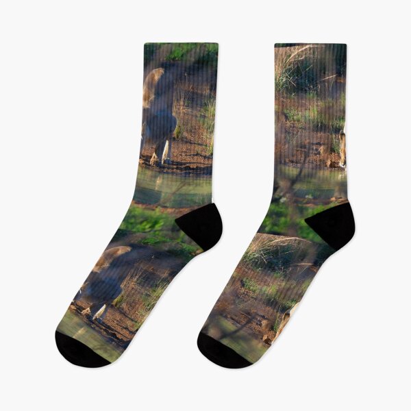 Item preview, Lionesses at the watering hole designed and sold by Totallyalive.
