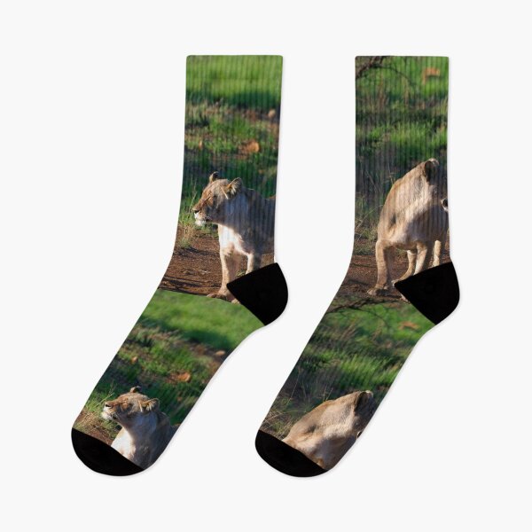 Item preview, And then the giraffe said... Lionesses chatting at the watering hole designed and sold by Totallyalive.