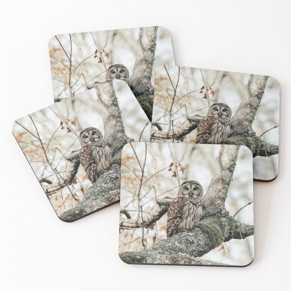 Item preview, Barred Owl designed and sold by jacindasgarner.