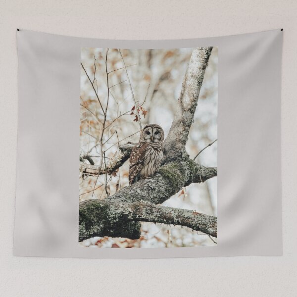 Item preview, Barred Owl designed and sold by jacindasgarner.