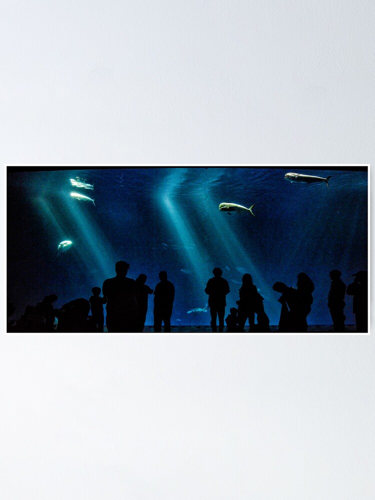 Alternate view of Mesmerized by Nature Poster