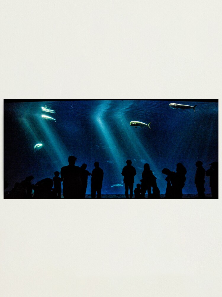 Alternate view of Mesmerized by Nature Photographic Print