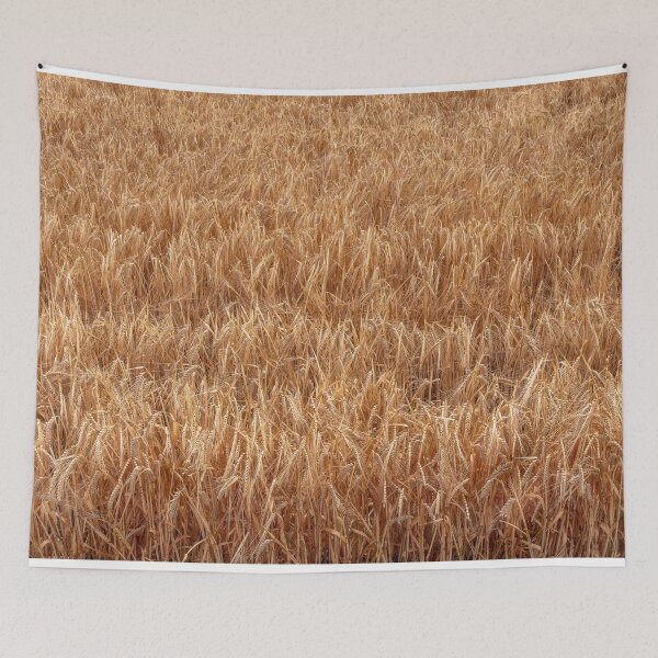 Item preview, Barley field designed and sold by iansmissenphoto.