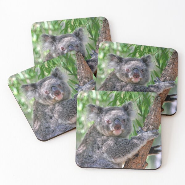 Item preview, Comfy Koala designed and sold by eidann.