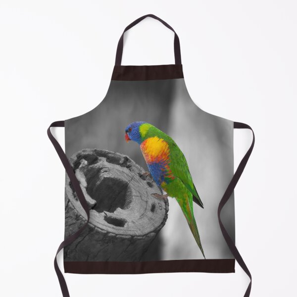 Item preview, Rainbow Lorikeet_5174A designed and sold by SEADOGPRINTS.