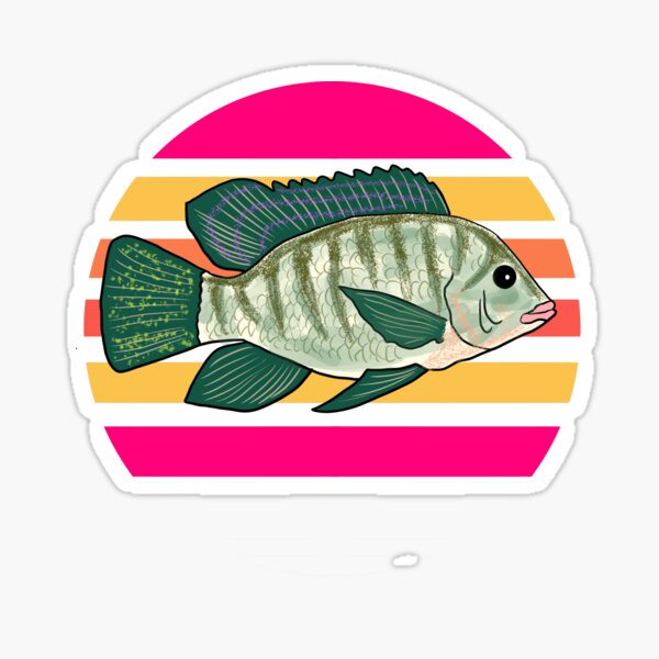 Tilapia Fish Sunset Merch & Gifts for Sale