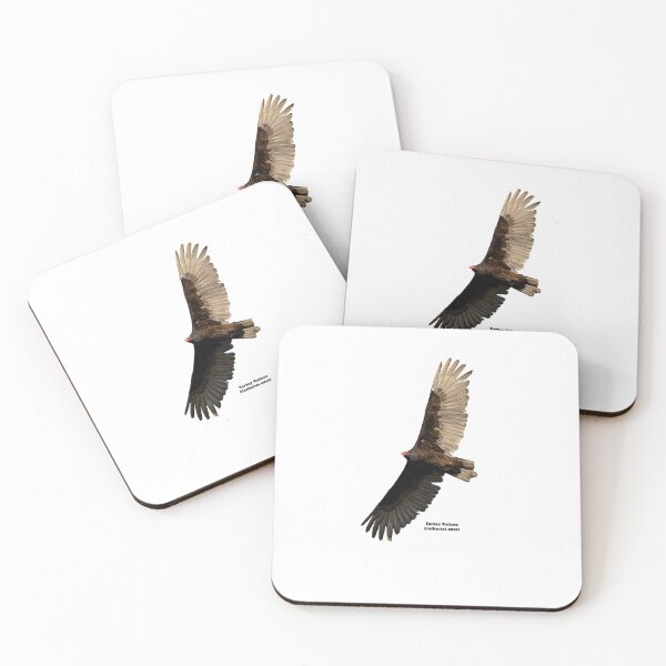 Item preview, Isolated Turkey Vulture With Name 2020-2  designed and sold by Thomasyoung.