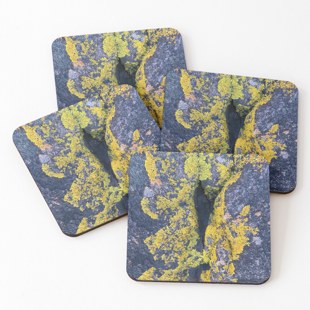 Item preview, Coasters (Set of 4) designed and sold by Frame1.