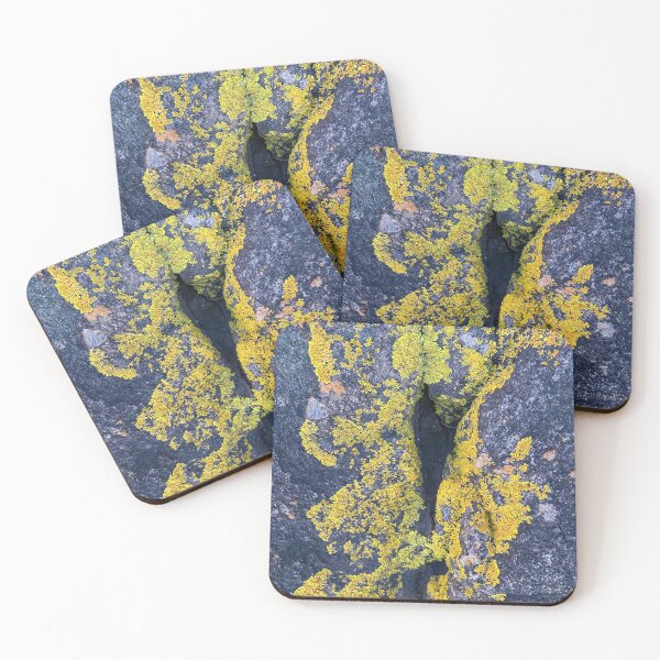 Item preview, Algae designed and sold by Justina Legoe.
