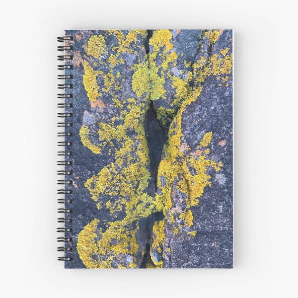 Item preview, Algae designed and sold by Justina Legoe.