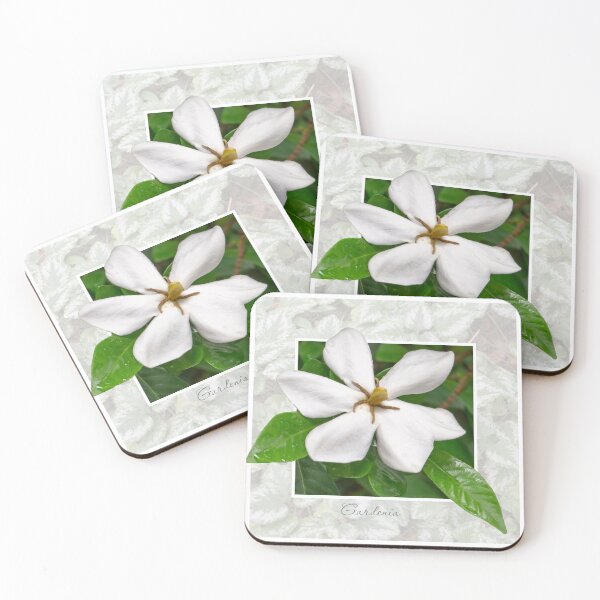 Item preview, Gardenia designed and sold by Susan Watson.