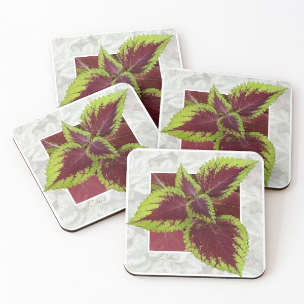 Item preview, Coleus 2 designed and sold by Susan Watson.