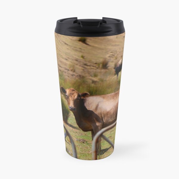 Staring bronze cow Travel Mug