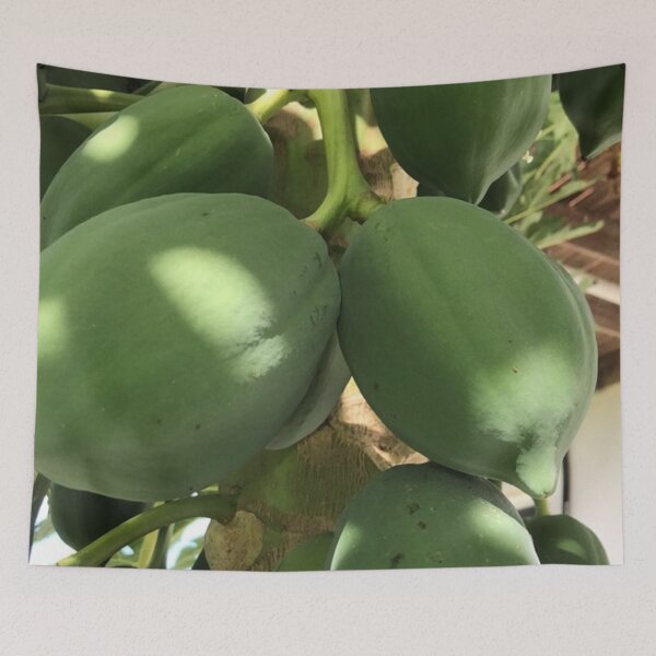 Item preview, Long Island Baha Green PapaYA Delight designed and sold by SaSaBoutique.