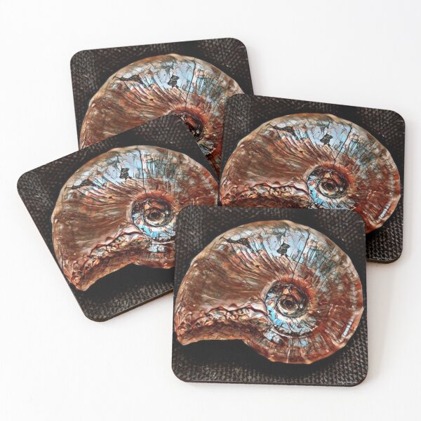 Ammonite Coasters for Sale Redbubble