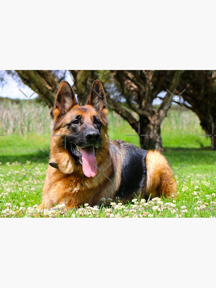 German Shepherd Jigsaw Puzzle 