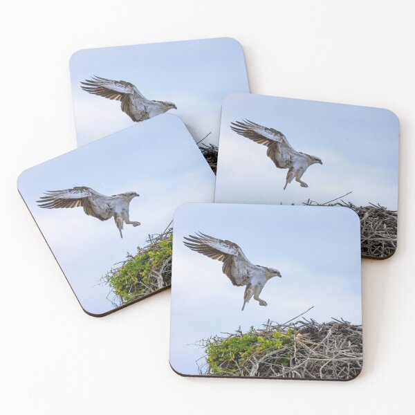 Item preview, Osprey_VOA6763A designed and sold by SEADOGPRINTS.