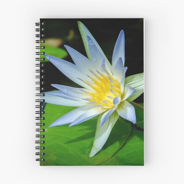 Item preview, Lily of the Field...er Pond 1 designed and sold by TweeLoot.