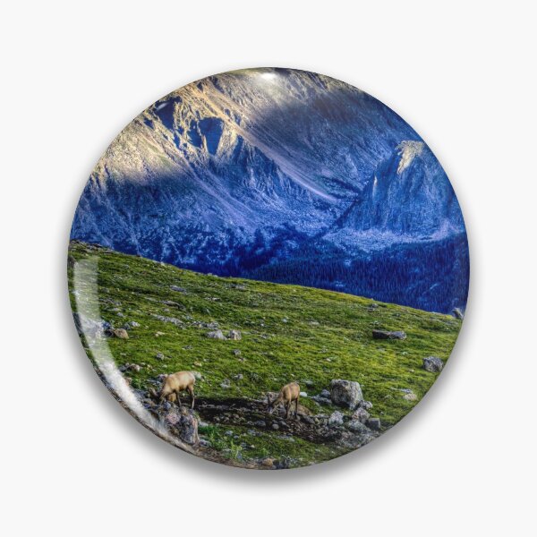 Artikelvorschau, Schafe in den Bergen - Rocky Mountain National Park entworfen und verkauft von HootenannyPhoto.