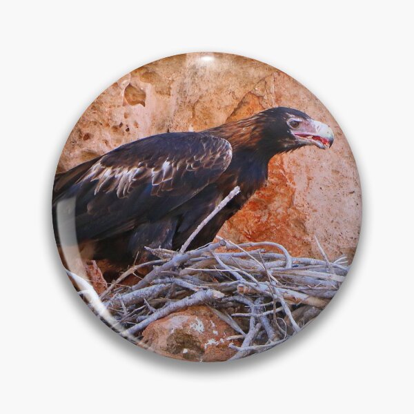 Item preview, Wedge-tailed eagle, Australia designed and sold by FranWest.