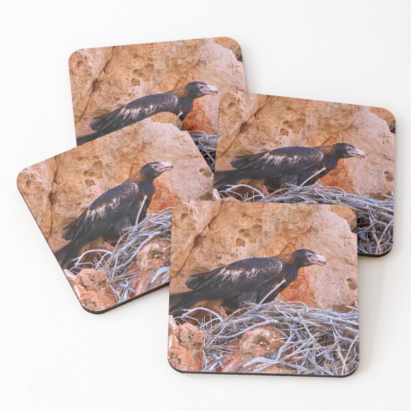 Item preview, Wedge-tailed eagle, Australia designed and sold by FranWest.