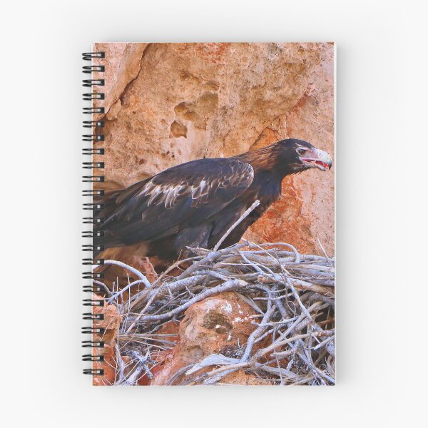 Item preview, Wedge-tailed eagle, Australia designed and sold by FranWest.