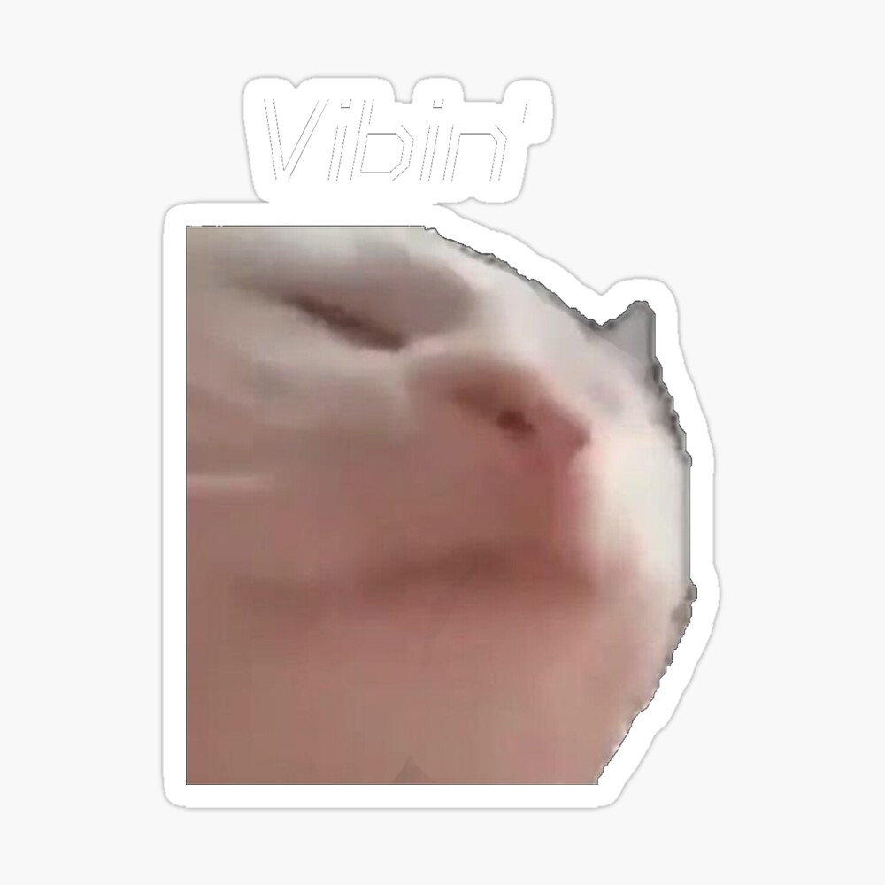 Vibin cat meme