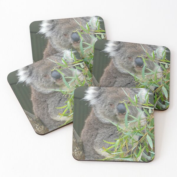 Item preview, Lottie Koala designed and sold by Graeme  Hyde.