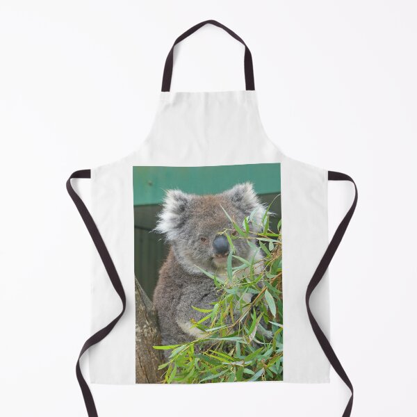 Item preview, Lottie Koala designed and sold by Graeme Hyde.