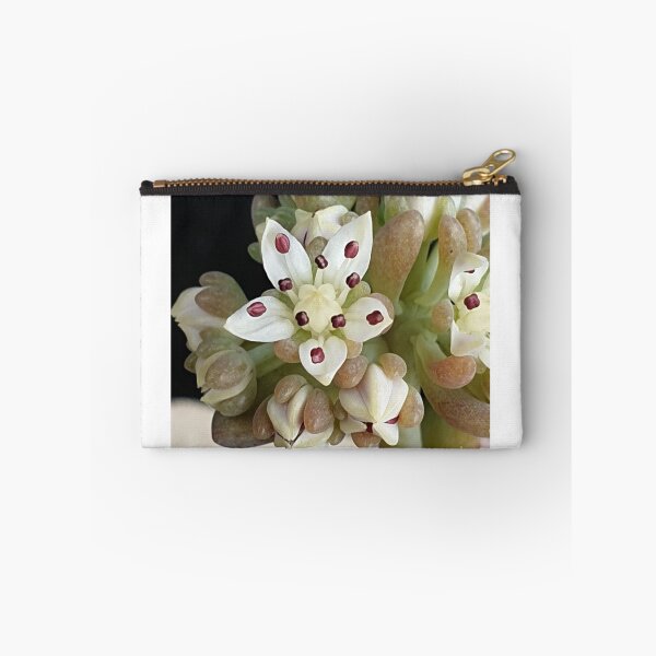Item preview, Succulent Bloom designed and sold by HORTYBYNATURE.