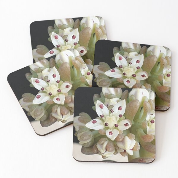 Item preview, Succulent Bloom designed and sold by HORTYBYNATURE.