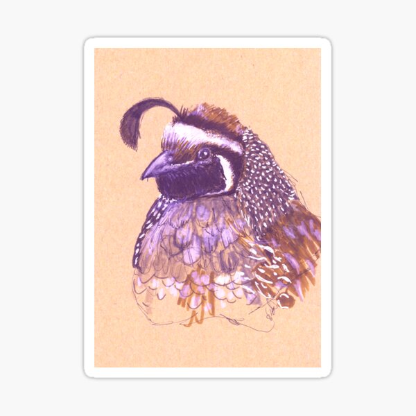 Item preview, California Quail — Callipepla californica designed and sold by Sheila Singhal.