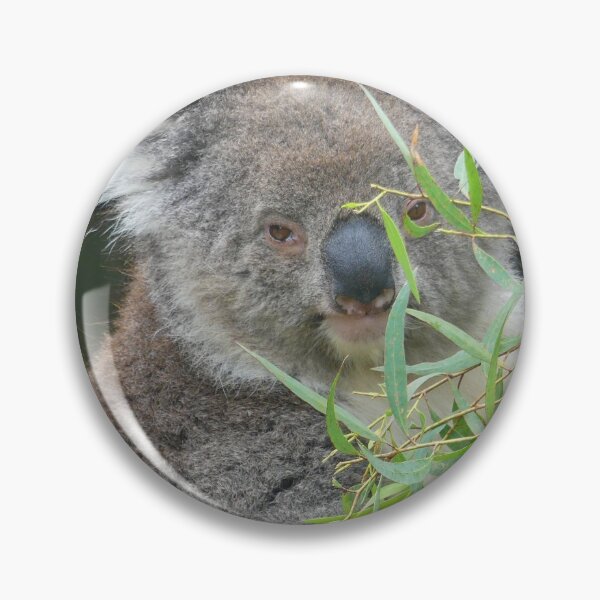 Item preview, Lottie Koala designed and sold by Graeme  Hyde.