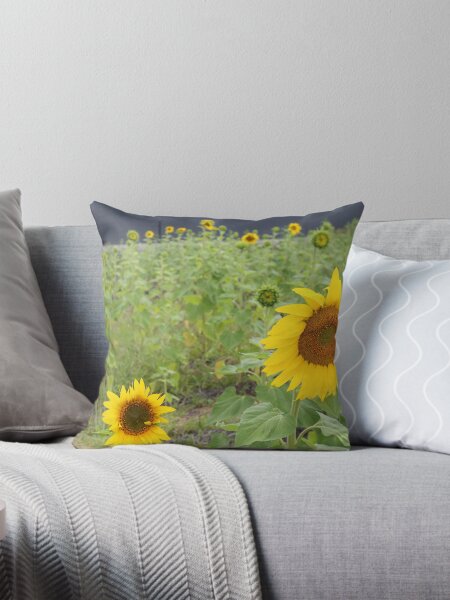 Item preview, Smiling sunflowers designed and sold by HauntedHills.