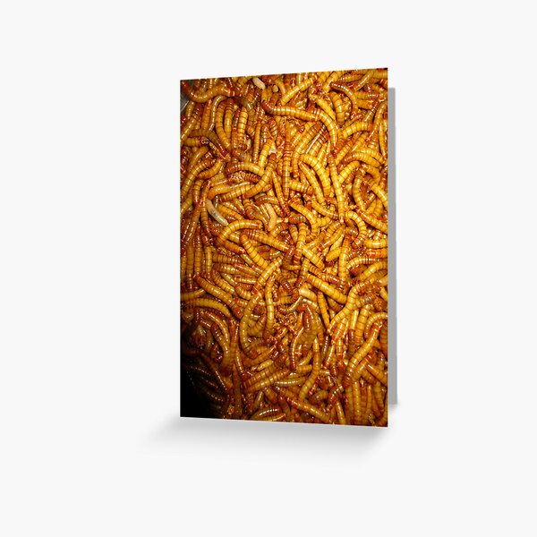 Cartimar Greeting Card