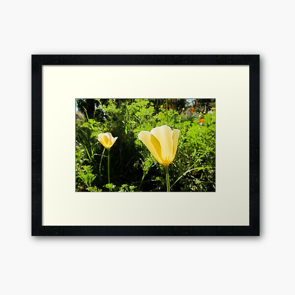 Spring Framed Art Print