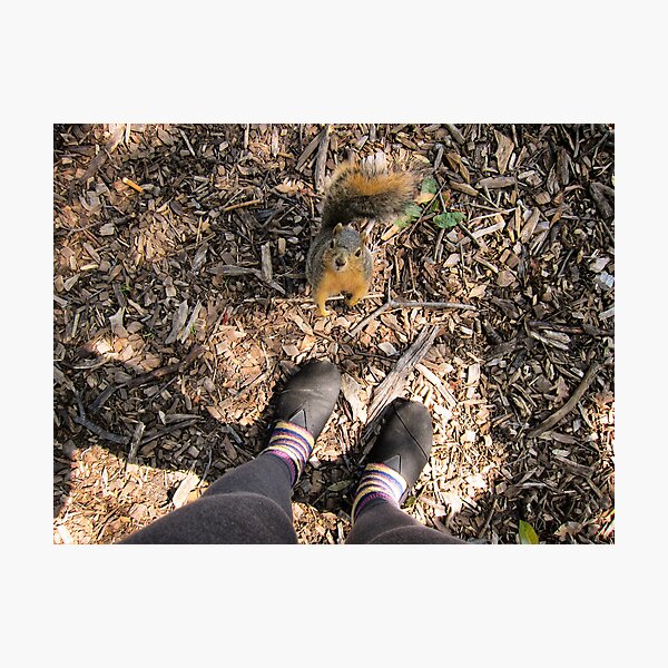 Hello Photographic Print